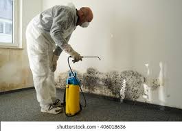 Why You Should Choose Our Mold Remediation Services in Breckenridge, TX